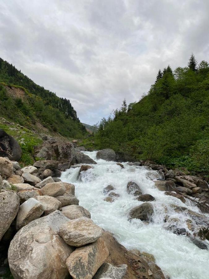 Serinyer Dag Evi Яйла-Айдер Экстерьер фото
